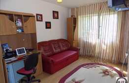 Apartament 1 camera, 25 mp, semidecomandat, zona strazii Rapsodiei
