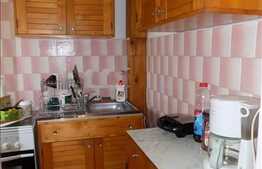 Apartament 1 camera, 25 mp, semidecomandat, zona strazii Rapsodiei