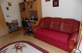 Apartament 1 camera, 25 mp, semidecomandat, zona strazii Rapsodiei