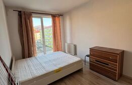 Apartament 1 camera, 35 mp, zona Porii 