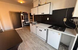 Apartament 1 camera, 35 mp, zona Porii 