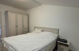 Apartament 3 camere, deosebit, parcare, zona Tineretului 
