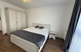 Apartament 3 camere, deosebit, parcare, zona Tineretului 