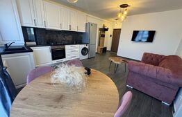 Apartament 3 camere, deosebit, parcare, zona Tineretului 