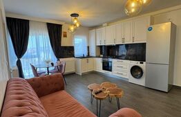 Apartament 3 camere, deosebit, parcare, zona Tineretului 