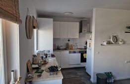 Casa cuplata finisata de 228 mp utili, teren de 320 mp, doua garaje, zona Tauti