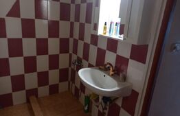 Casă renovabilă, 280 mp teren, Gruia