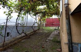 Casă renovabilă, 280 mp teren, Gruia