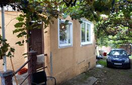 Casă renovabilă, 280 mp teren, Gruia