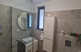 Casa individuala, 126 mp utili, 250 mp de teren, zona Tauti