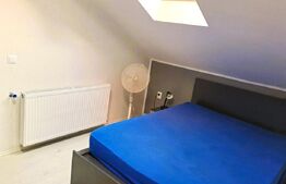 Casa cu 2 apartamente la curte comuna, pt investitie 