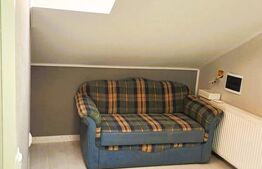 Casa cu 2 apartamente la curte comuna, pt investitie 