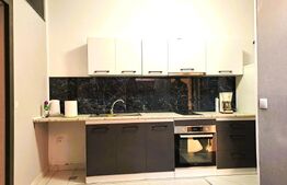 Casa cu 2 apartamente la curte comuna, pt investitie 