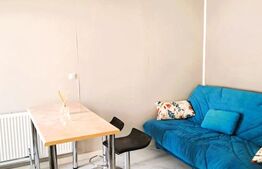 Casa cu 2 apartamente la curte comuna, pt investitie 