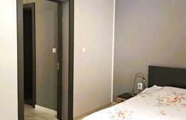 Casa cu 2 apartamente la curte comuna, pt investitie 