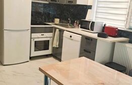 Casa cu 2 apartamente la curte comuna, pt investitie 