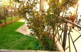 Casa calcan, 3 camere, 80 mp, zona Andrei Muresan