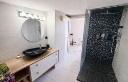  Penthouse, modern, 170mp zona Andrei Muresanu