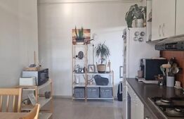 Apartament 2 camere, 45 mp, terasa 40 mp, zona Observatorului