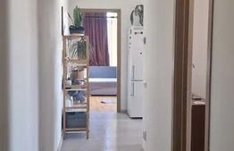 Apartament 2 camere, 45 mp, terasa 40 mp, zona Observatorului