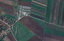 Teren  extravilan de vanzare, 5000 mp, zona Bod 