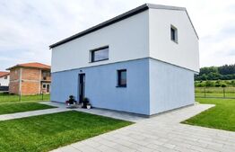 Reducere de pret!Casa individuala 120 mp utili, 4 camere, 500 mp teren, Chinteni