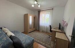 Apartament 2 camere, 50 mp, zona Gruia 