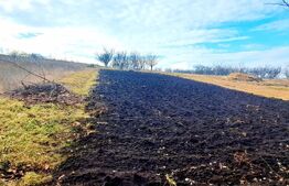 Casa individuala 90mp,teren 1000mp,situata in Dezmir