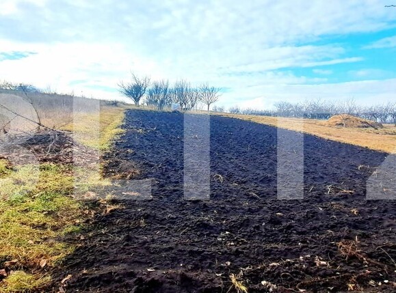 Casa de vânzare 2 camere Dezmir - 166375CV | BLITZ Cluj-Napoca | Poza14