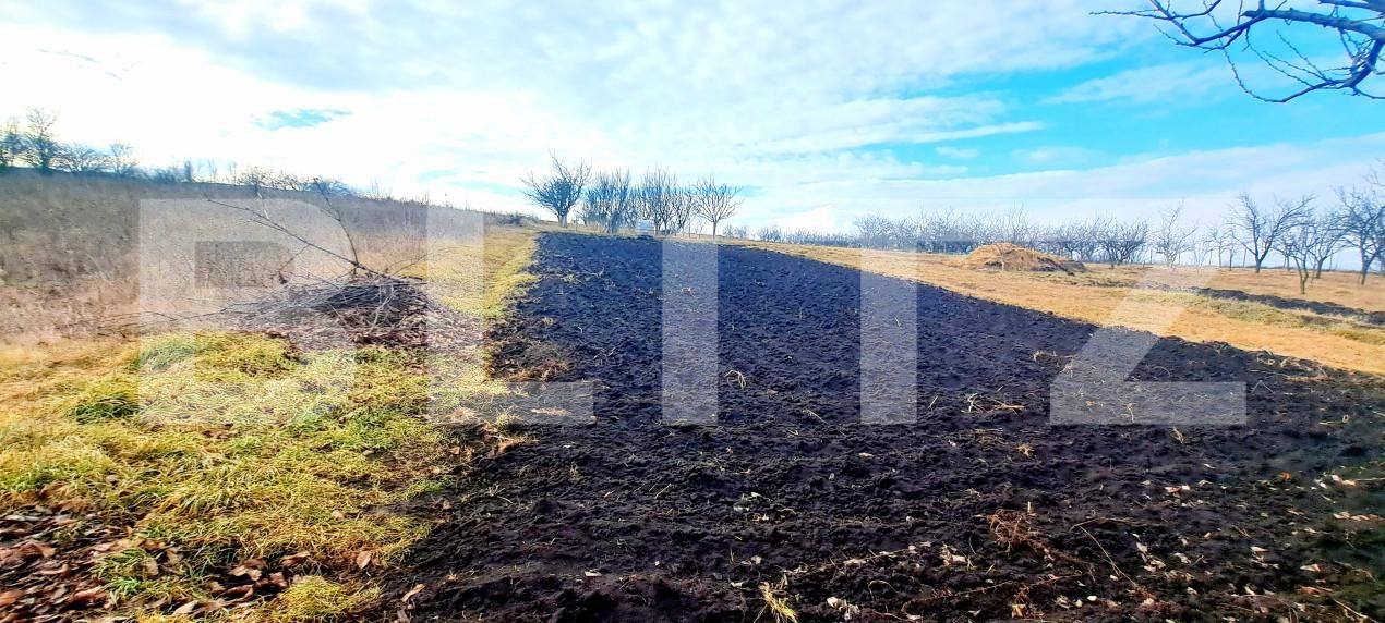 Casa de vânzare 2 camere Dezmir - 166375CV | BLITZ Cluj-Napoca | Poza14