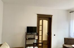 Apartament 1 camera la casa, 35 mp, pet friendly, zona Centrala