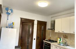 Apartament 1 camera la casa, 35 mp, pet friendly, zona Centrala