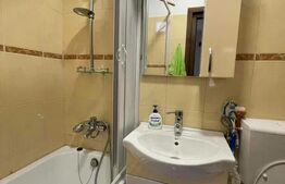 Apartament 1 camera la casa, 35 mp, pet friendly, zona Centrala