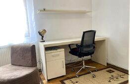 Apartament 1 camera la casa, 35 mp, pet friendly, zona Centrala