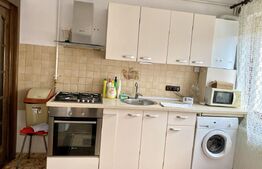 Apartament 1 camera la casa, 35 mp, pet friendly, zona Centrala