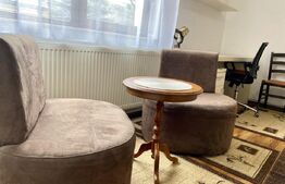 Apartament 1 camera la casa, 35 mp, pet friendly, zona Centrala