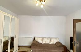 Apartament 1 camera la casa, 35 mp, pet friendly, zona Centrala