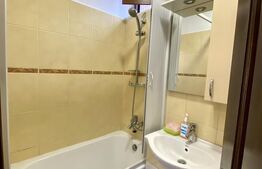 Apartament 1 camera la casa, 35 mp, pet friendly, zona Centrala