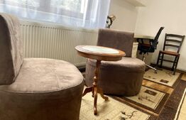 Apartament 1 camera la casa, 35 mp, pet friendly, zona Centrala