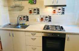 Apartament 3 camere, 72 mp, decomandat, garaj, parcare, boxa, zona strazii Vanatorului