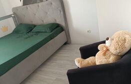 Apartament decomandat, mobilat si utilat, parcare inclusa, zona Terra