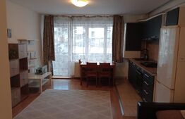Apartament 2 camere decomandate, cu balcon si parcare, la cheie, zona Petrom