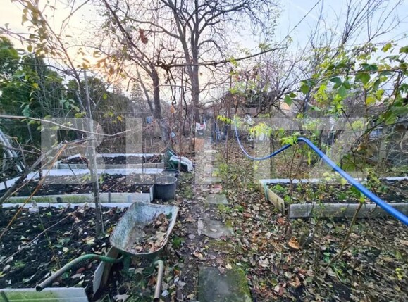 Casa de vânzare 3 camere Dambul Rotund - 166433CV | BLITZ Cluj-Napoca | Poza5