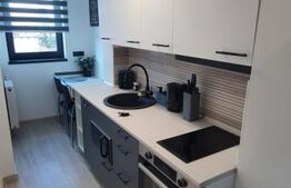 Garsoniera de 28 mp, mobilata lux, etaj 2, zona Tractorul