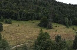 Teren Intravilan 4000 mp, Valea Draganului,