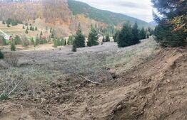 Teren Intravilan 4000 mp, Valea Draganului,