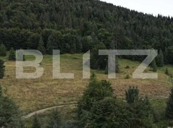 Teren de vânzare Huedin - 166469TV | BLITZ Cluj-Napoca | Poza3