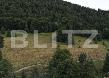 Teren de vânzare Huedin - 166469TV | BLITZ Cluj-Napoca | Poza3