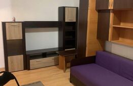 Garsoniera de inchiriat, 24 mp, zona Marasti