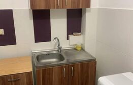 Garsoniera de inchiriat, 24 mp, zona Marasti